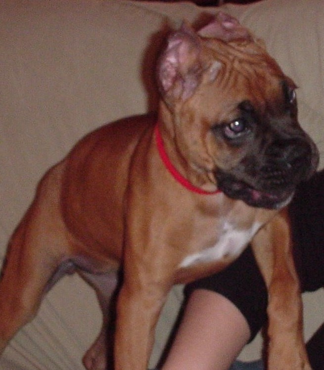 My baby, post ear tape