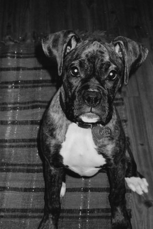 My baby sitting pretty