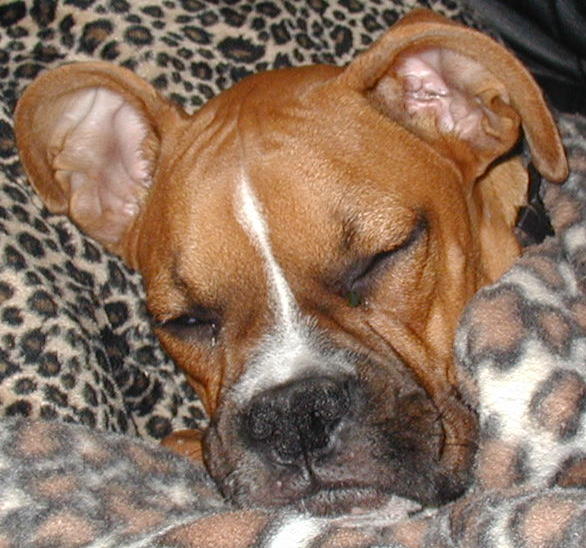 My Baby Sleeping.......