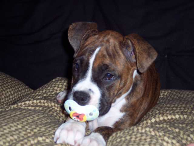 My baby w/ her Elmo binky