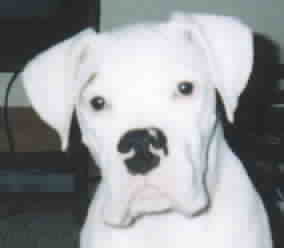 My Baby