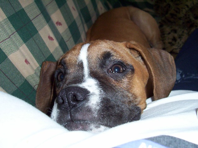 my baby