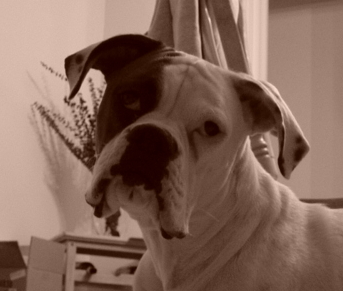 My Baby!