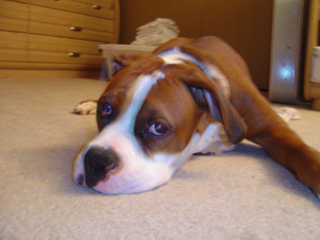 My Baby