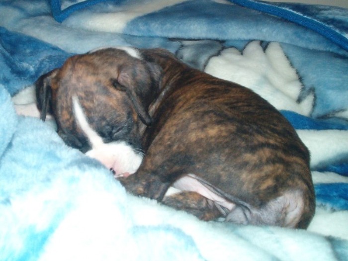 My Baby