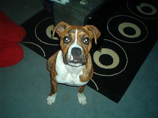 my baby!!