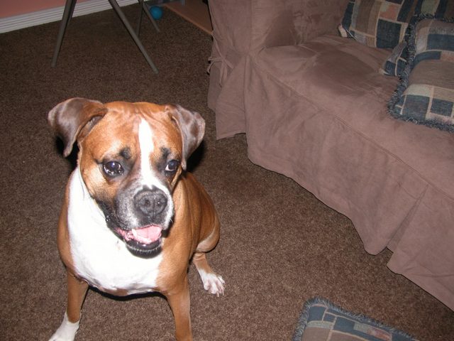 My baby