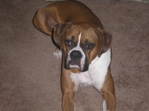 My baby!