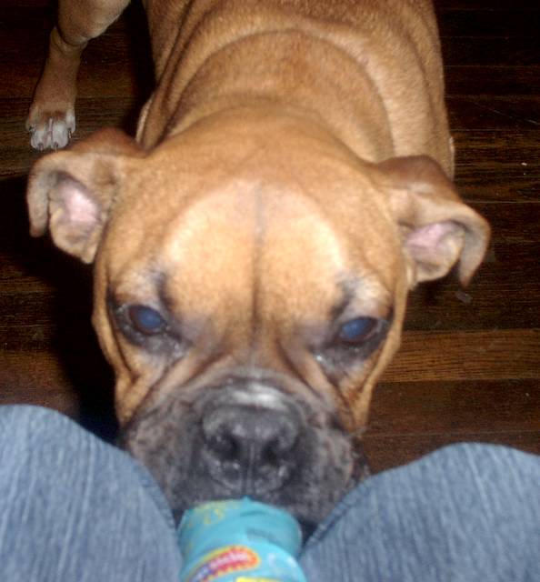My Baby
