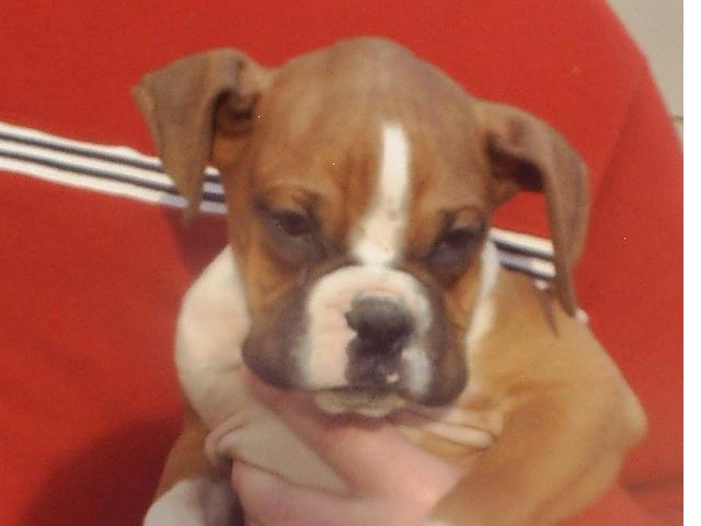 My baby