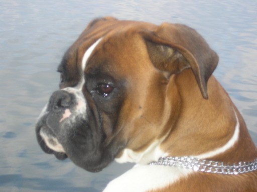 my baby
