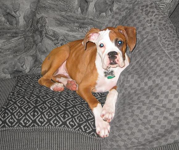 My baby!
