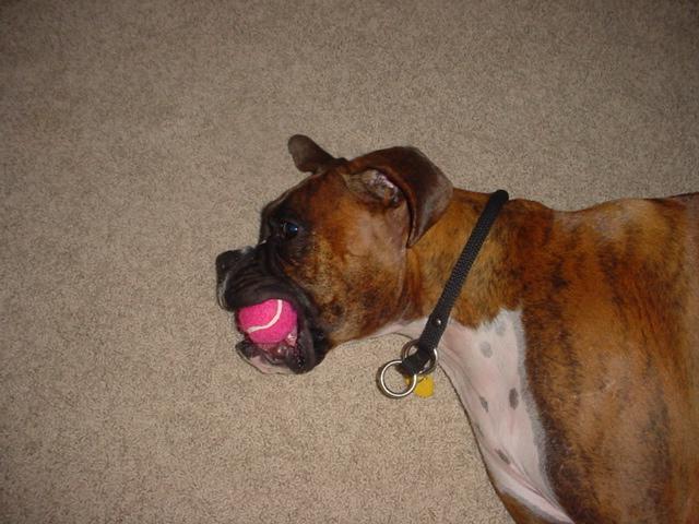 MY BALL