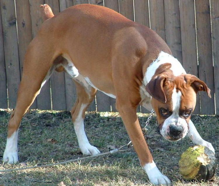 My Ball