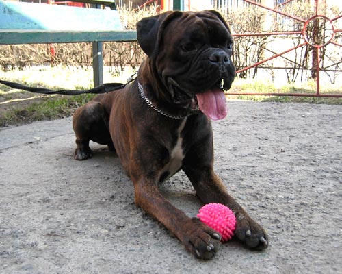 my ball