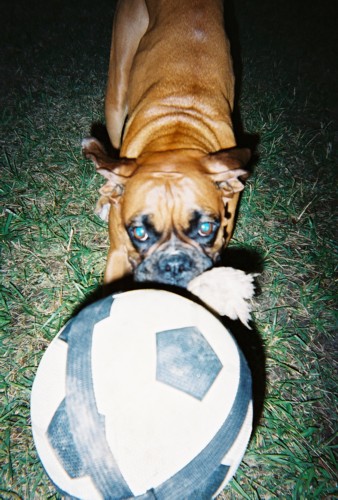 My Ball!