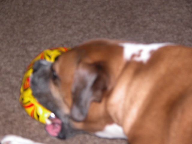 My ball