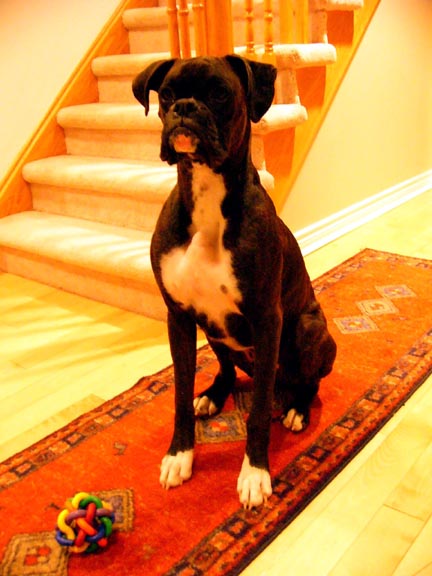 My Beasley at 10 Months