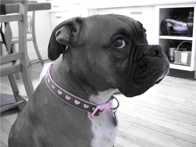 My beautiful Adrian :-)