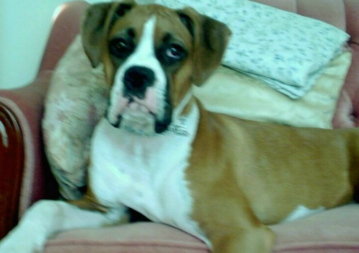 My beautiful Ali