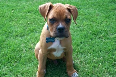 My beautiful baby boy