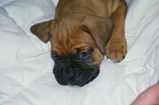 My beautiful baby