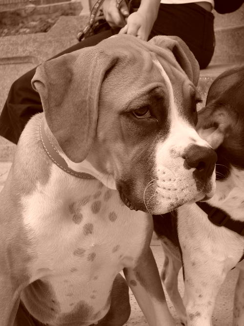 My beautiful boy!!!