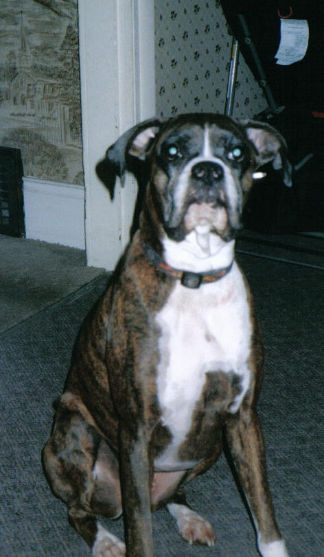 My beautiful girl