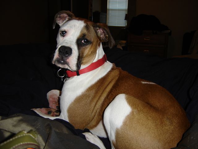 My beautiful little big girl