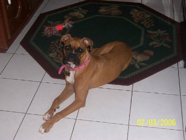 My Beauty