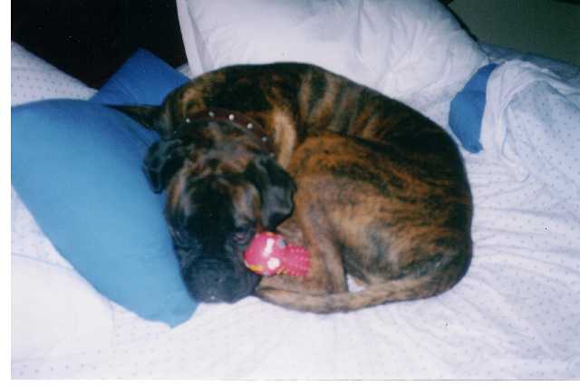 my bed now