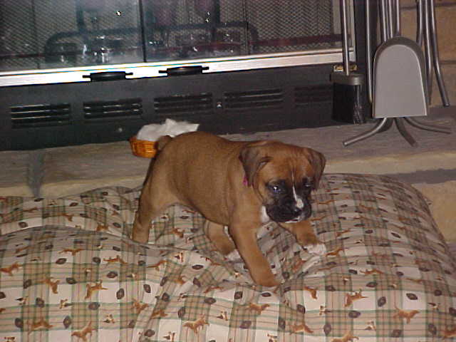 My bed sure is big.