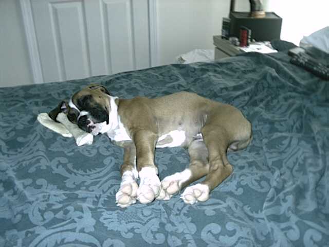 MY BED!!