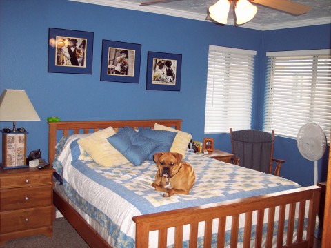 My Bed