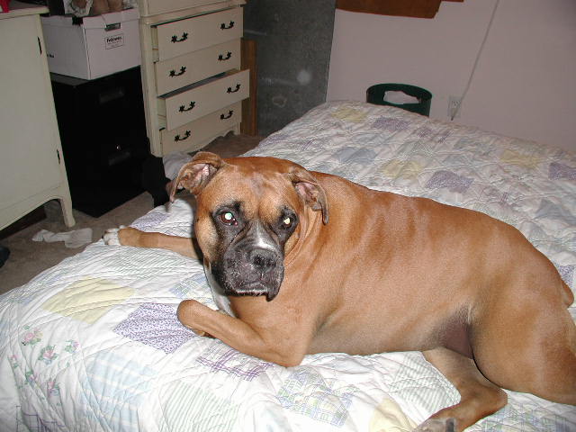 my bed