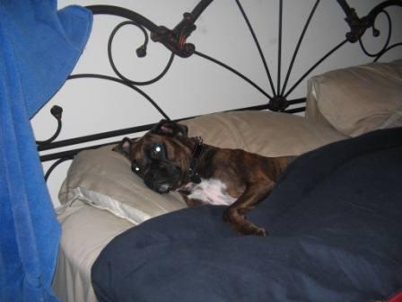 My Bed
