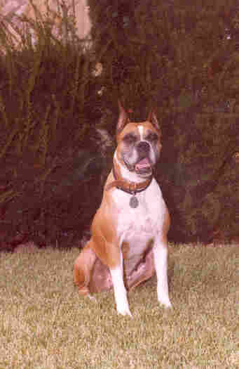 My Best Friend - Mitzi