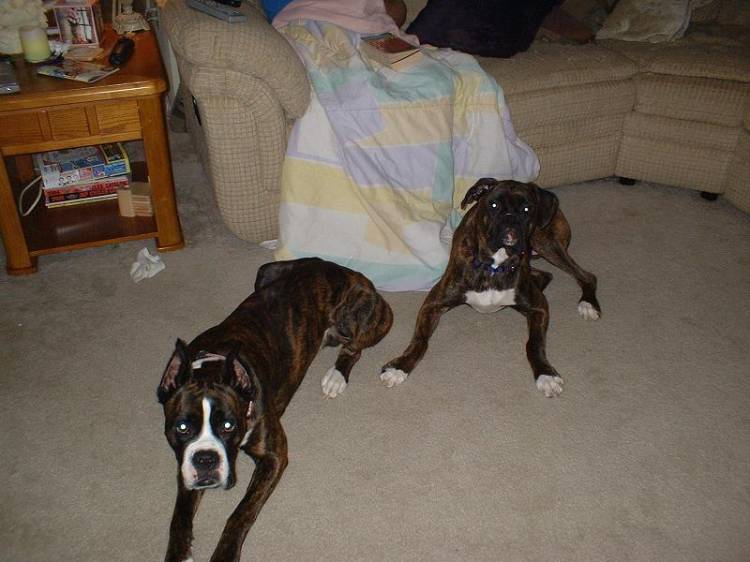 my best friends