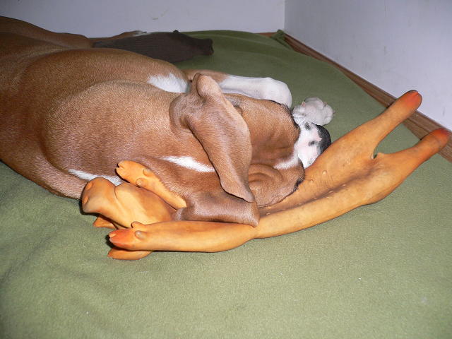 My best pillow.....