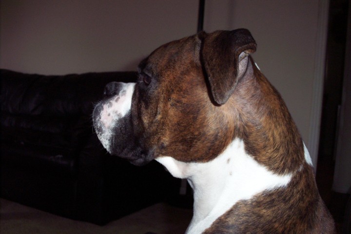 my best side