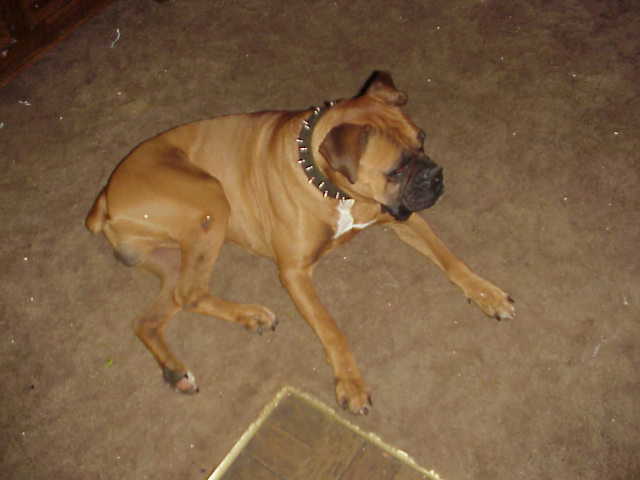 My Big Boy....