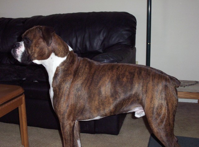 my big boy
