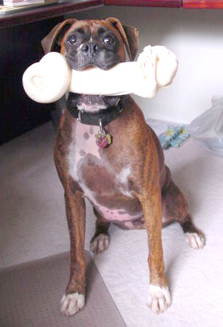 My Bone!  Yep.....MYYYYYY Bone!