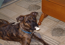 My Bone!
