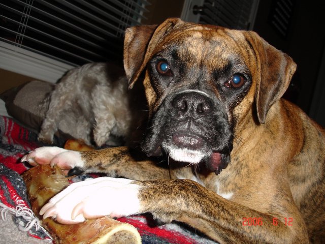 MY bone!