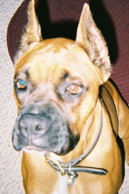 My boy, Oscar