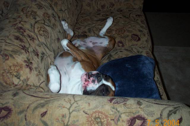 My boy snoozing!!