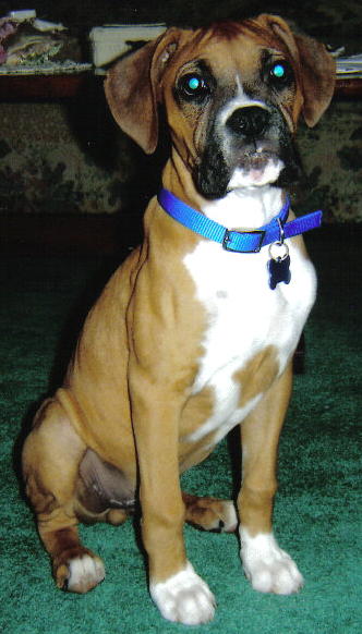 My boy