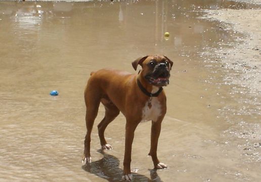 My Boy!