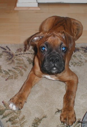 My Boy!